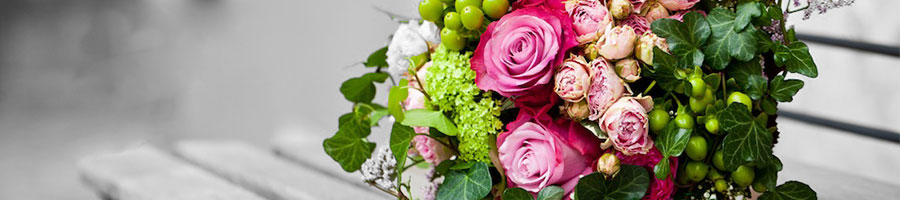 Header Blumen Freund